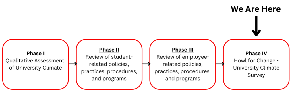 Four rounded squares in order that show Phase 1, Phase 2, Phase 3, and Phase 4 of the equity assessment, with an arrow pointed to phase 4 to illustrate that is the phase we are currently in.