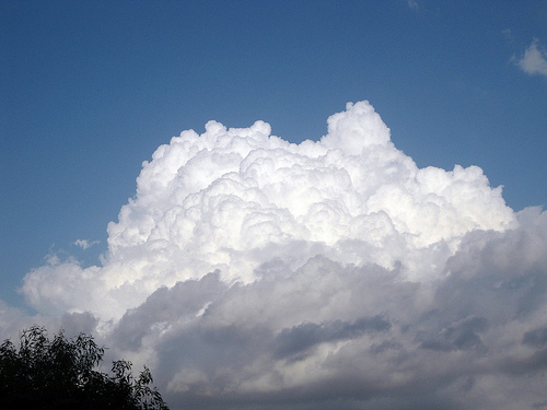 swelling cumulus or cumulus congestus clouds