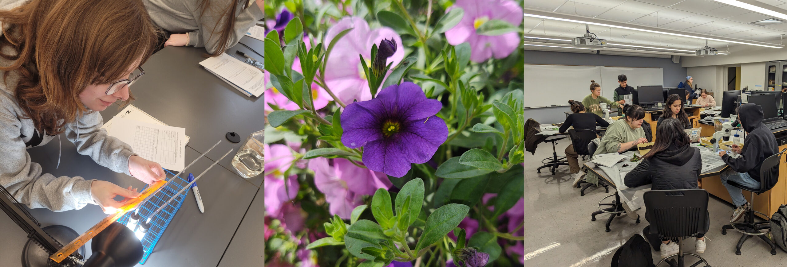 Student in lab, flower, students in lab.