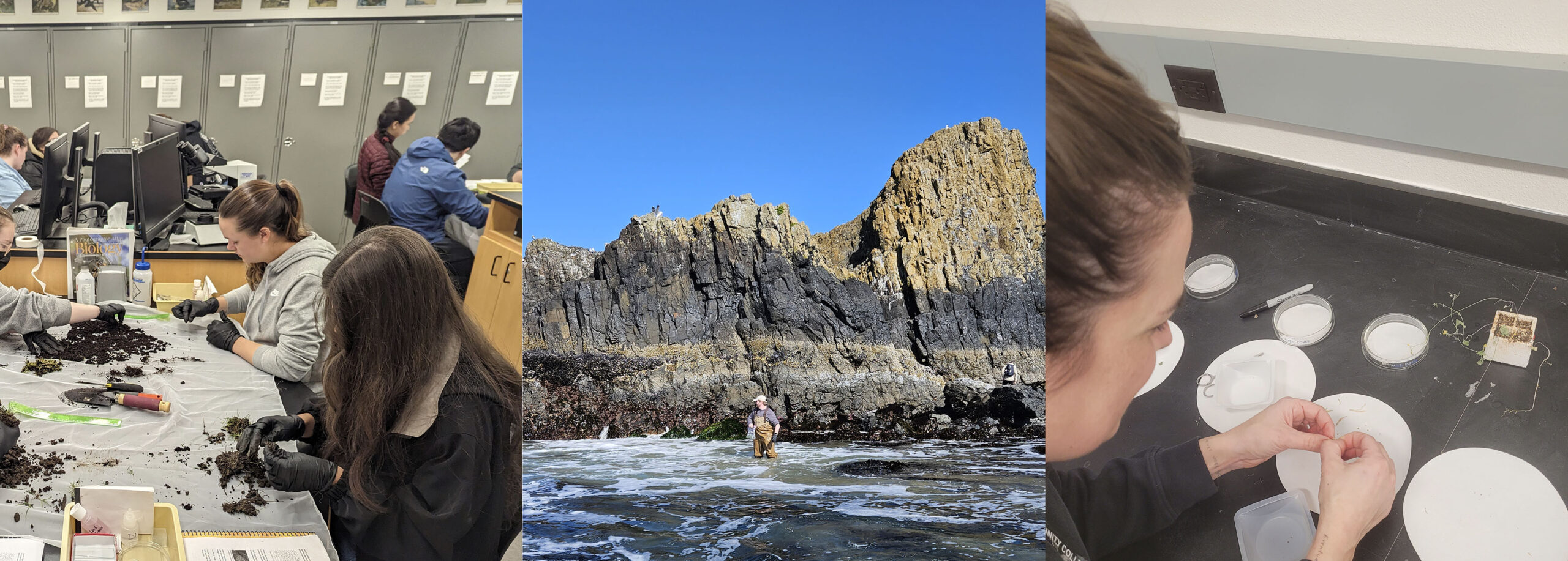 Students in lab, a student in the intertidal, a student in lab.