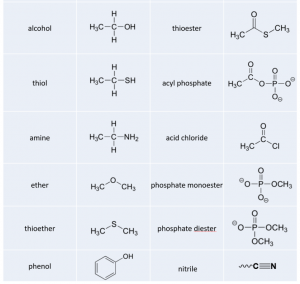 CH105: Chapter 5 – Introduction to Organic Chemistry – Chemistry