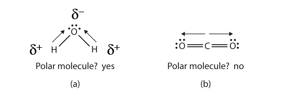 Water Lewis Structure Polarity