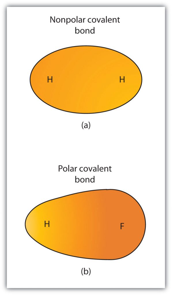 CH103 Chapter 5 Covalent Bonds and Introduction to Organic