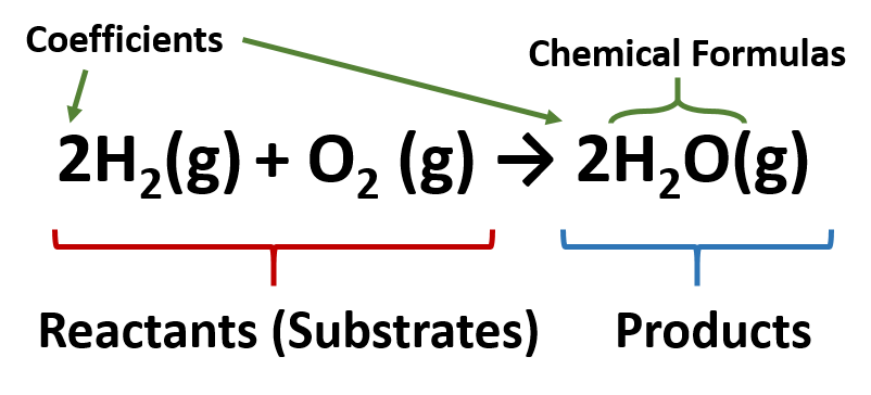 chemical equation balancer with phases