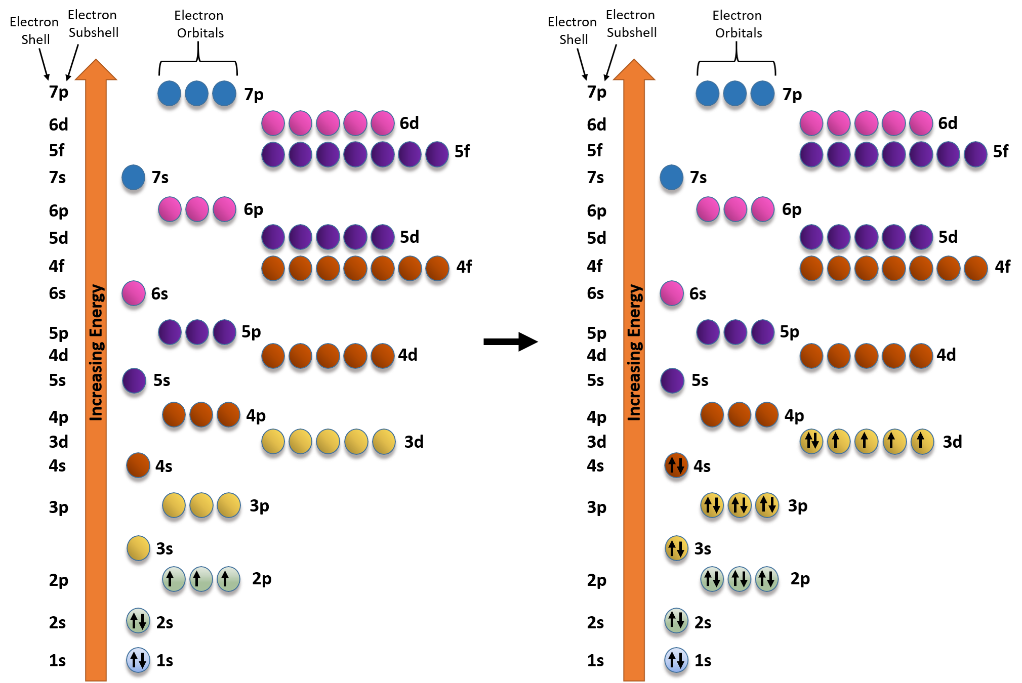 26 Use The Orbital Filling Diagram To Show The Electron Configuration Of Phosphorus P Wiring 