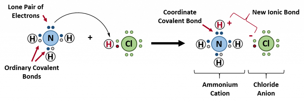 covalent bonding assignment quizlet