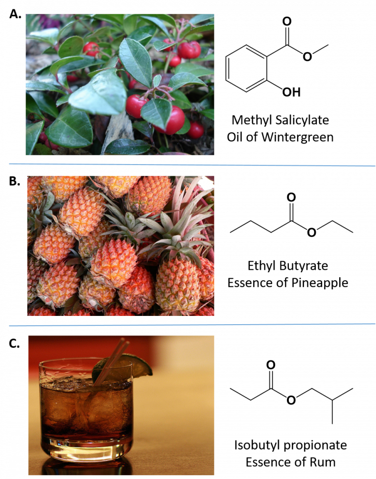 CH105 Chapter 9 Organic Compounds of Oxygen Chemistry
