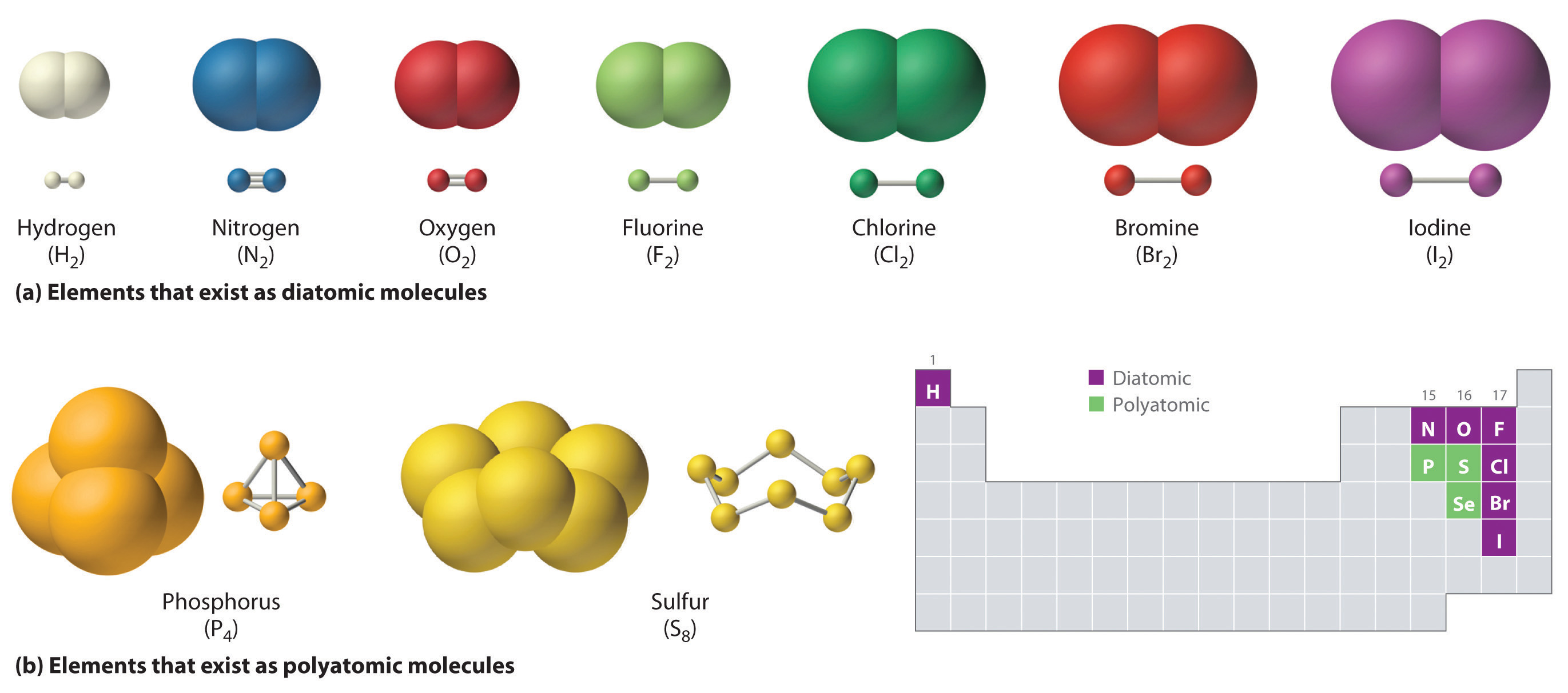 atoms join together to form