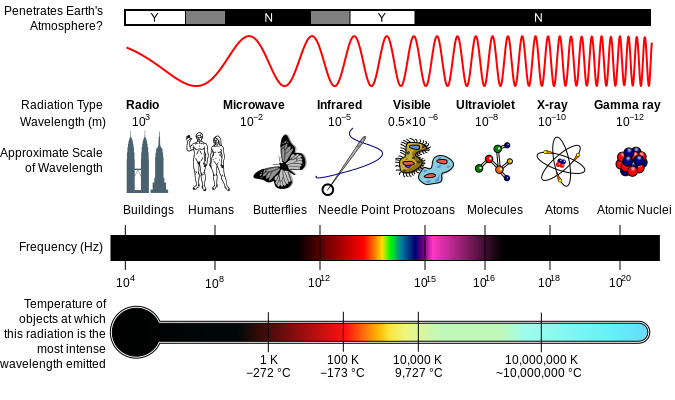 Influence of a contrast medium on the absorption of X-rays - Influence of a contrast  medium on the absorption of X-rays - Detection of X-rays - X-ray physics -  Atomic and nuclear