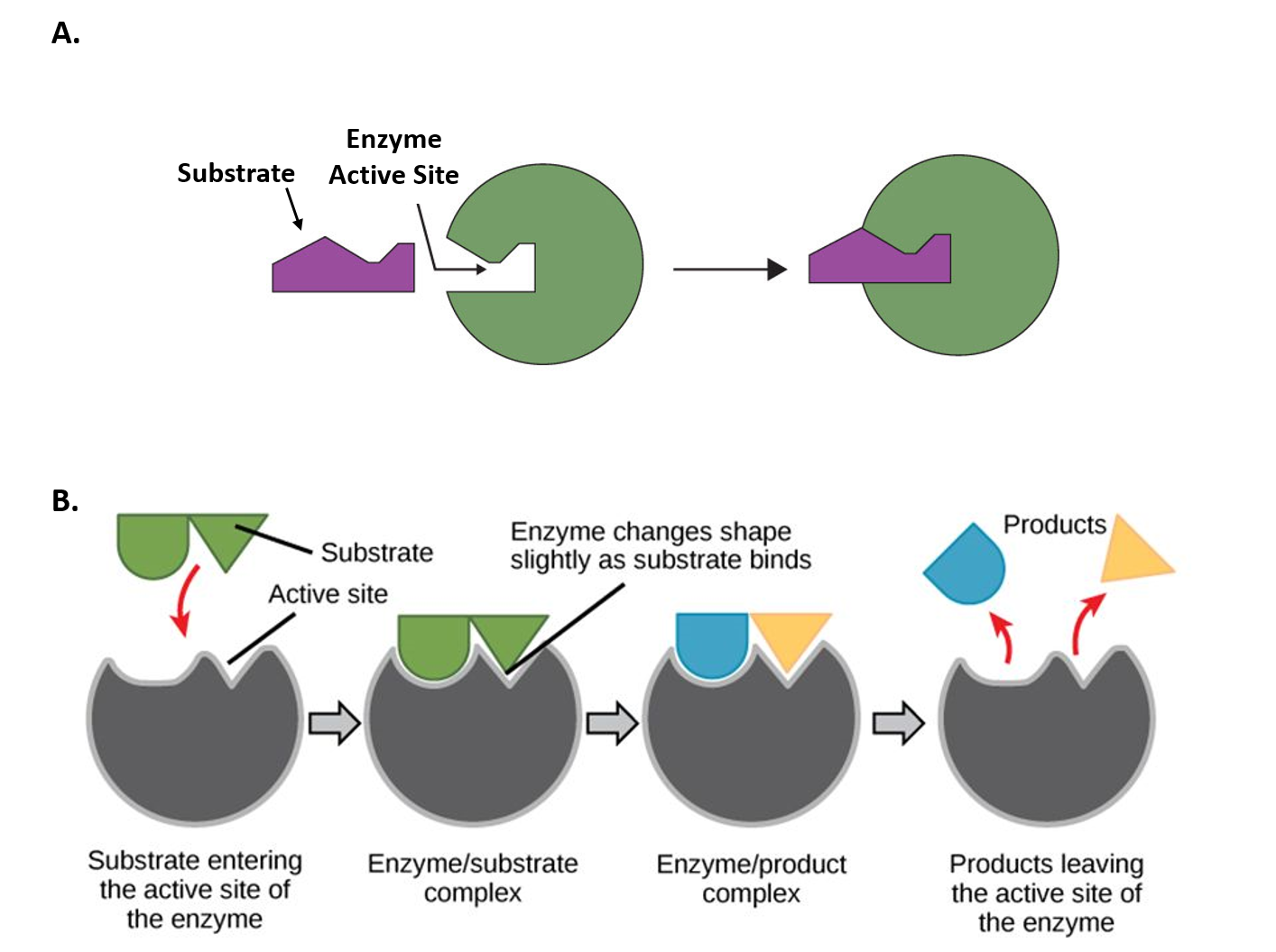 Probing Complex Chemical Processes at the Molecular Level with