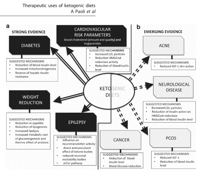 The Ketogenic Diet Chemistry