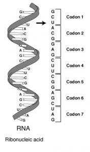 Chapter 1: The Foundations of Biochemistry - Chemistry