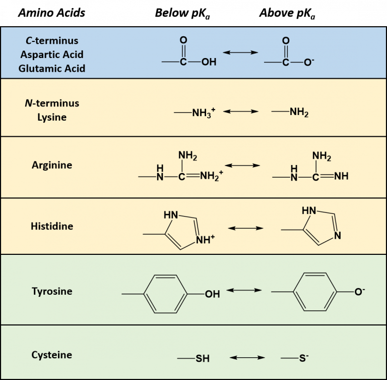 Chapter 2: Protein Structure - Chemistry