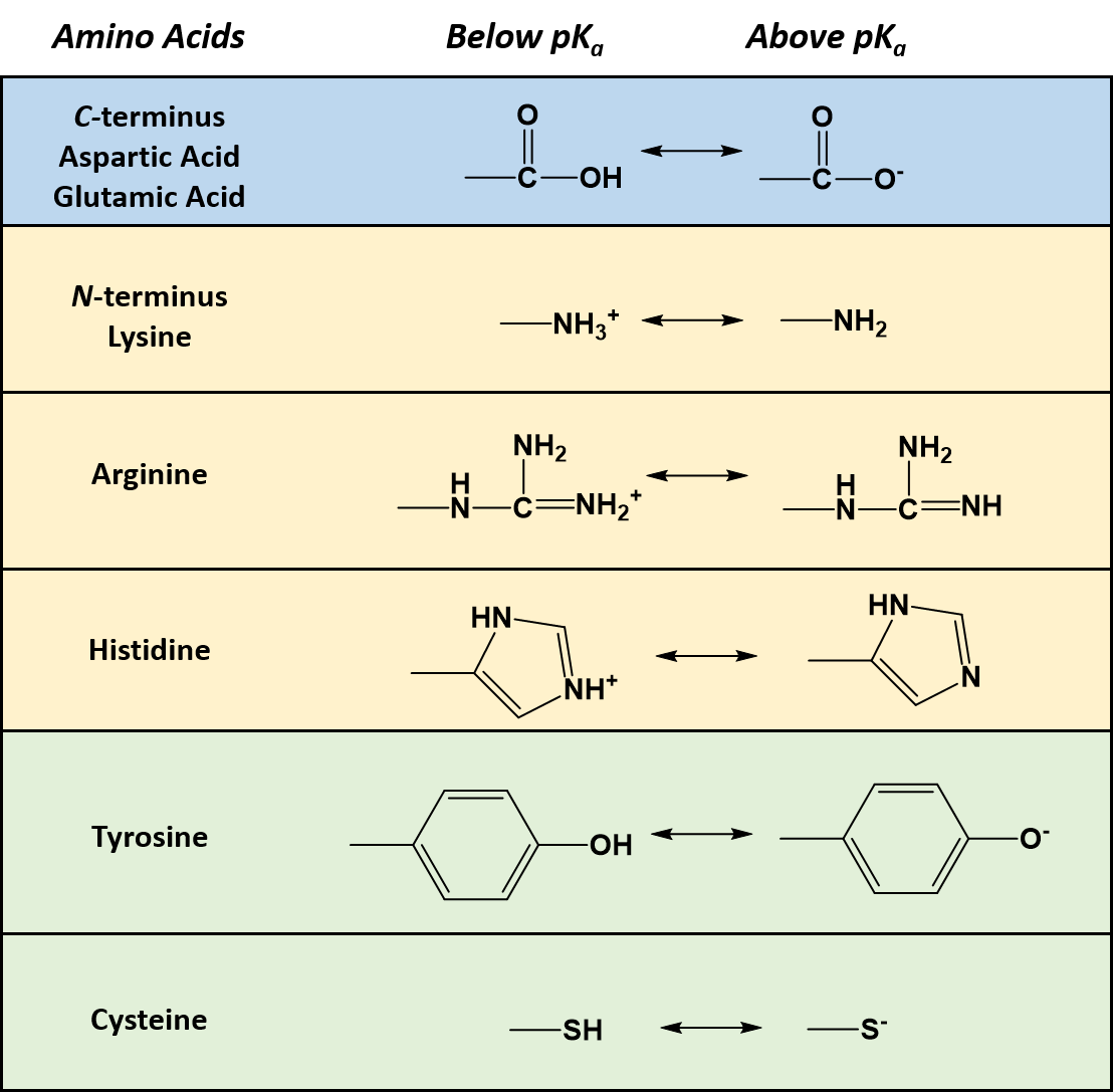 Amino Acid Ph Chart