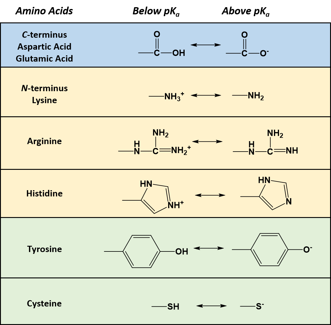 Amino Acid Protein Chart