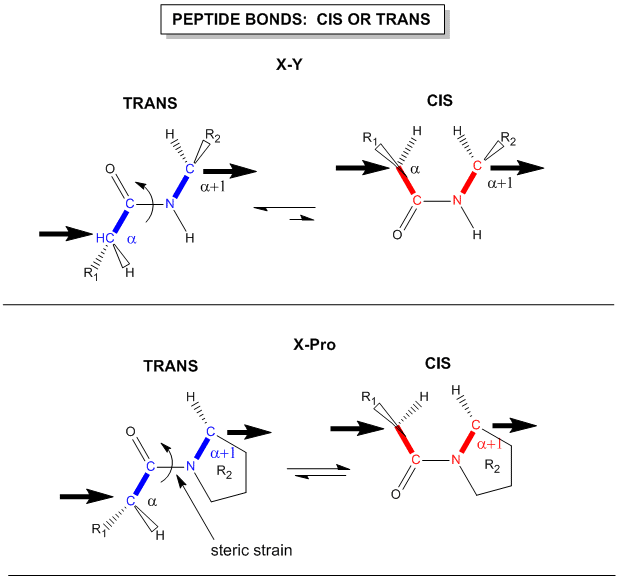 Chapter 2 Protein Structure Chemistry