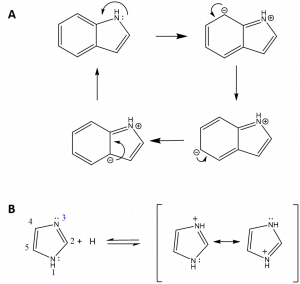 Chapter 2: Protein Structure - Chemistry