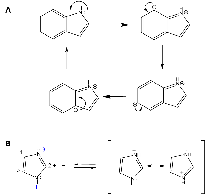 Chapter 2 Protein Structure Chemistry