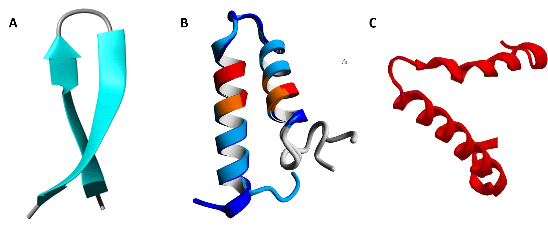 secondary structure of protein definition