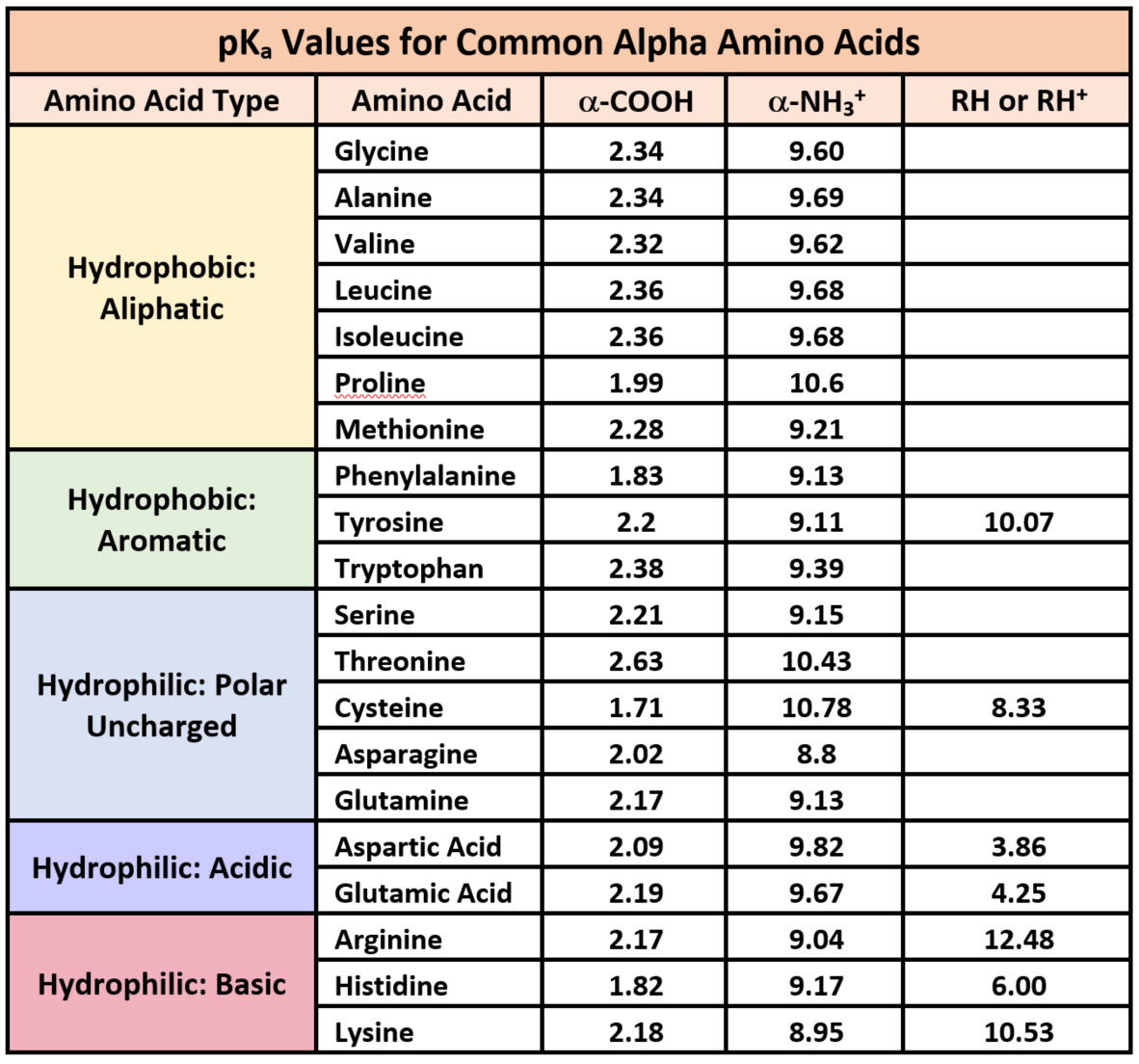 most hydrophobic amino acids