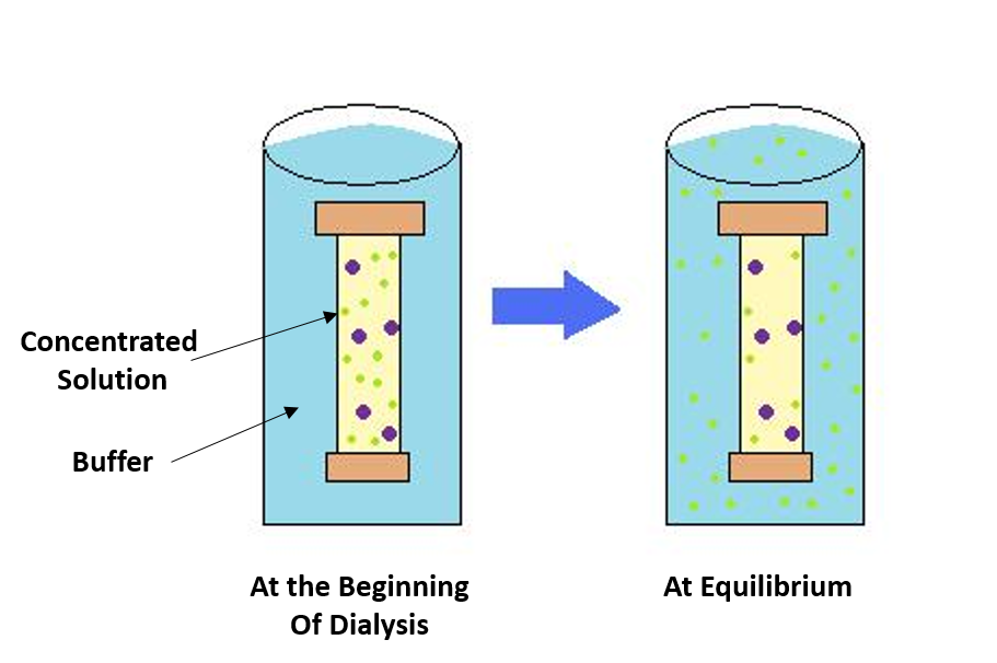 Lab Scale Protein Purification