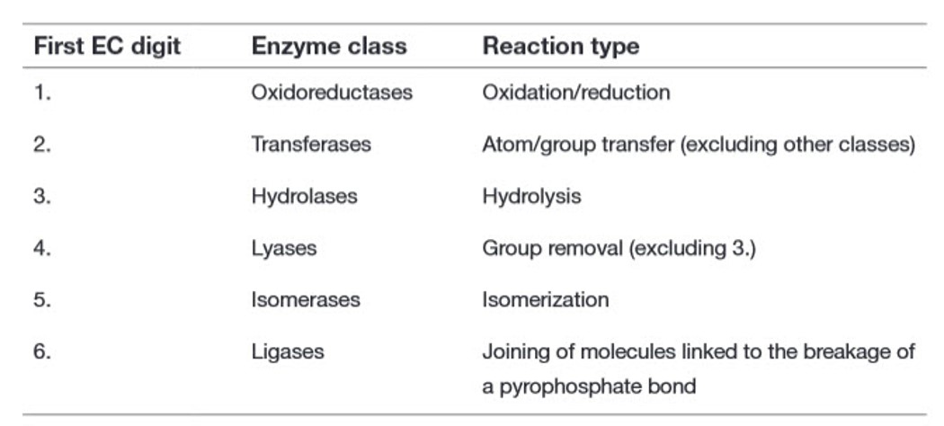 Chapter 6 Enzyme Principles And Biotechnological Applications Chemistry