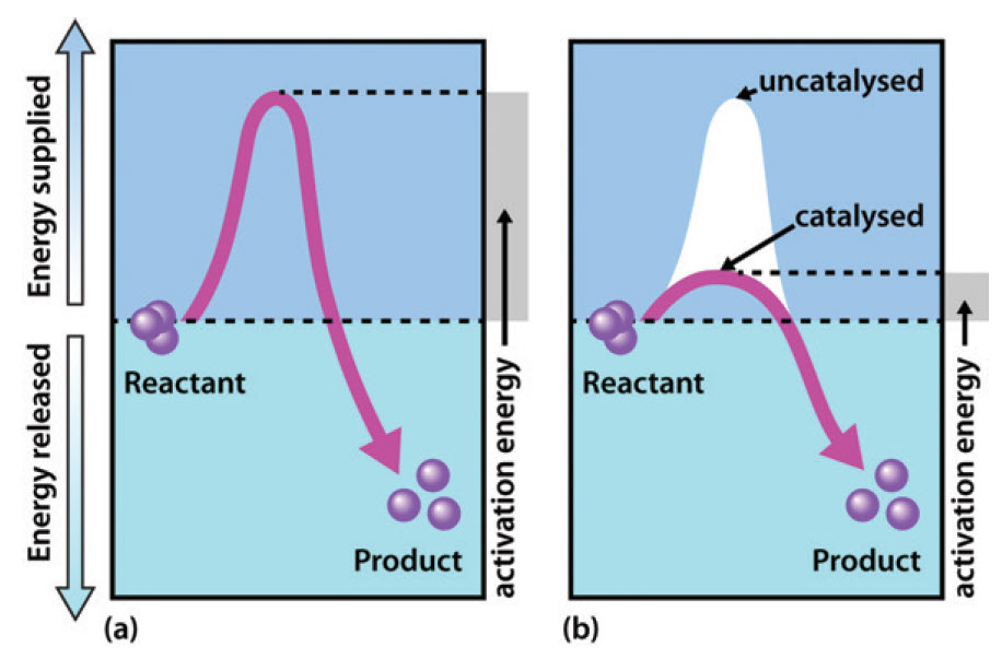 Full article: Different Generating Mechanisms for the Summer