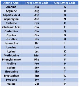 Chapter 2: Protein Structure - Chemistry