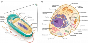 Chapter 1: The Foundations of Biochemistry - Chemistry