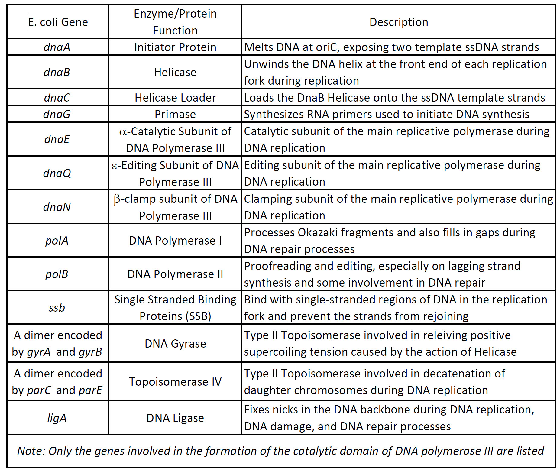 Chapter 9 Dna Replication Chemistry