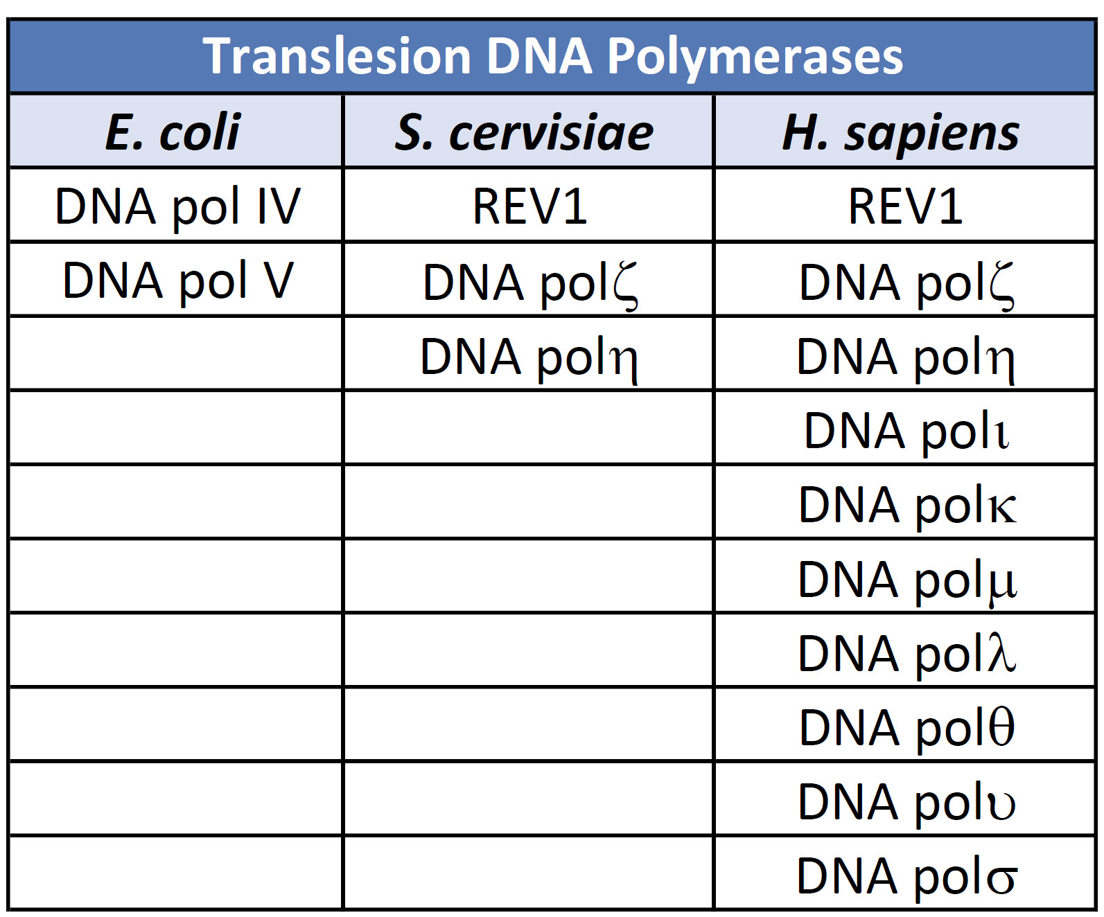 Chapter 12 DNA Damage and Repair Chemistry