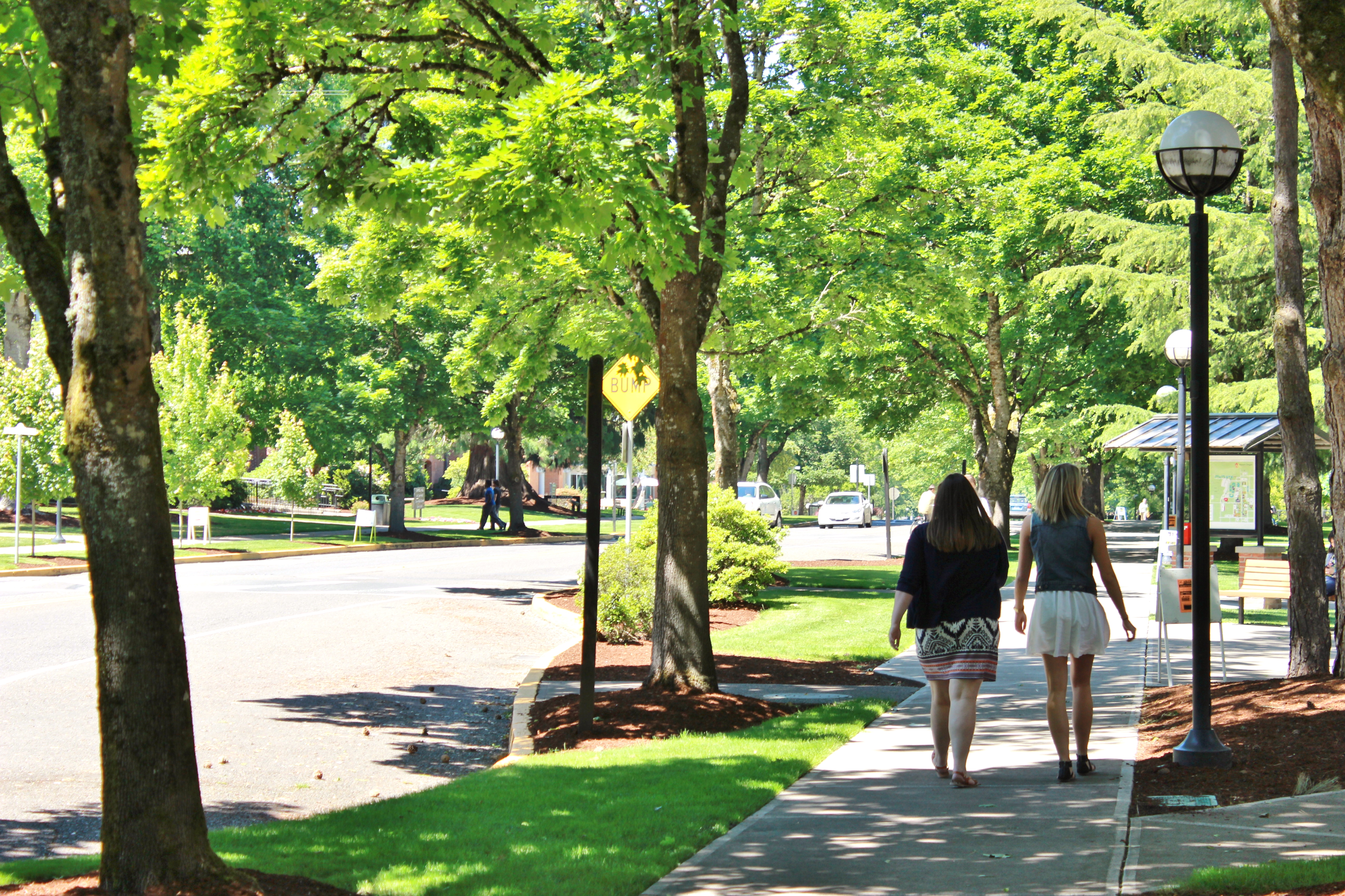 Students walking through campus