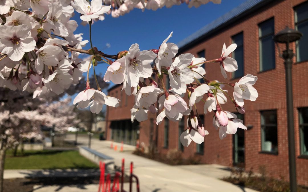 WOU wins grant funding to expand effort to diversify Oregon’s teaching force