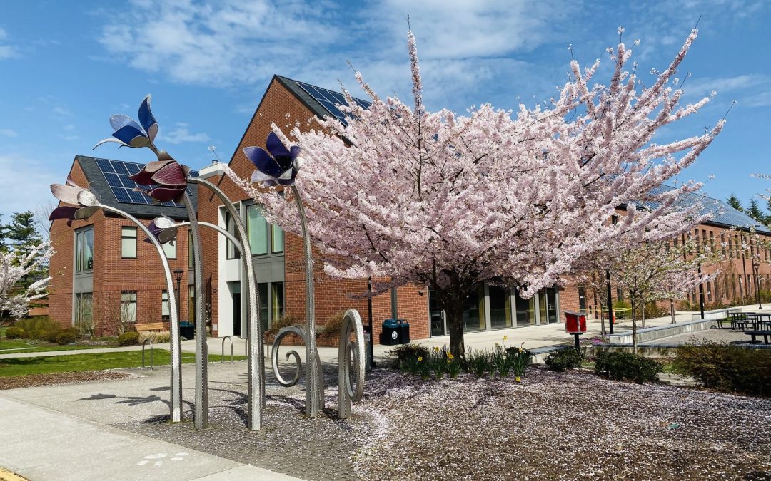 Western once again receives Tree Campus Higher Education recognition