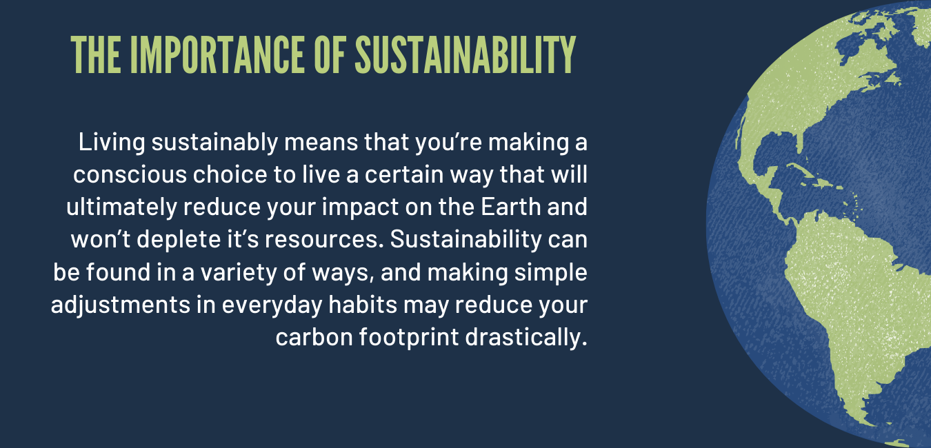 What is sustainability and why is it important for the earth?