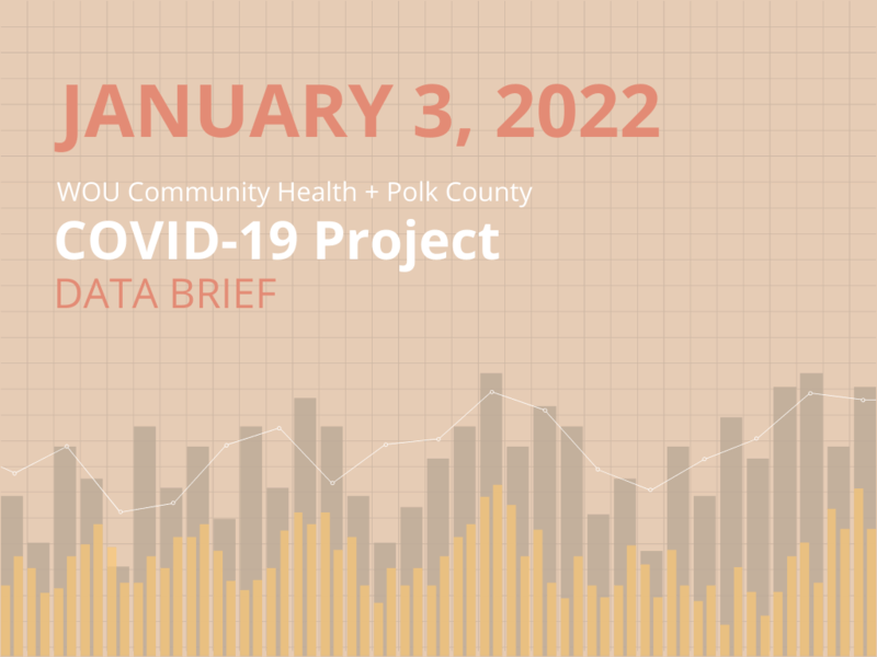 January 3, 2021 Data Brief
