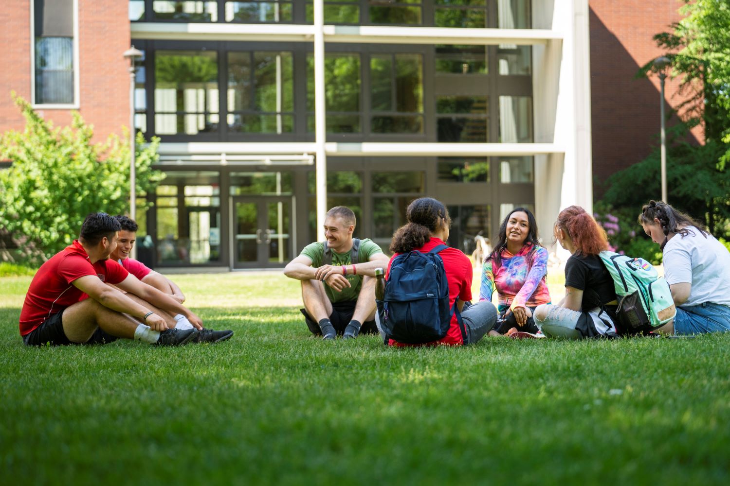 Group of Students sitting on campus lawn