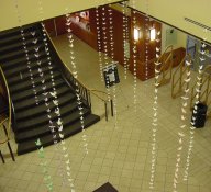 1000 cranes for peace