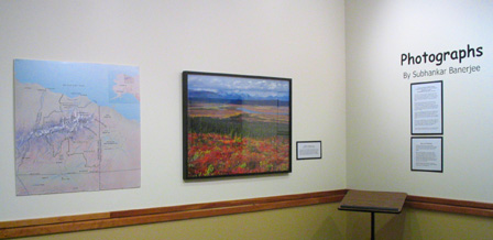 Banerjee Landscapes 2