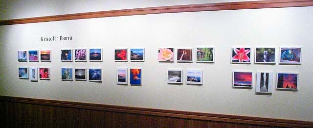 Kristofer Ibarra Exhibit