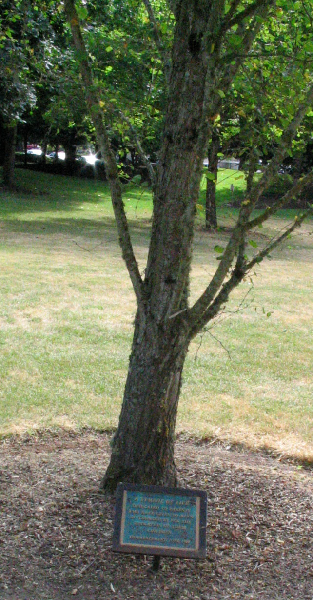 1990 Parents Tree Plaque