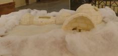 Canada: Multiple Family Igloo