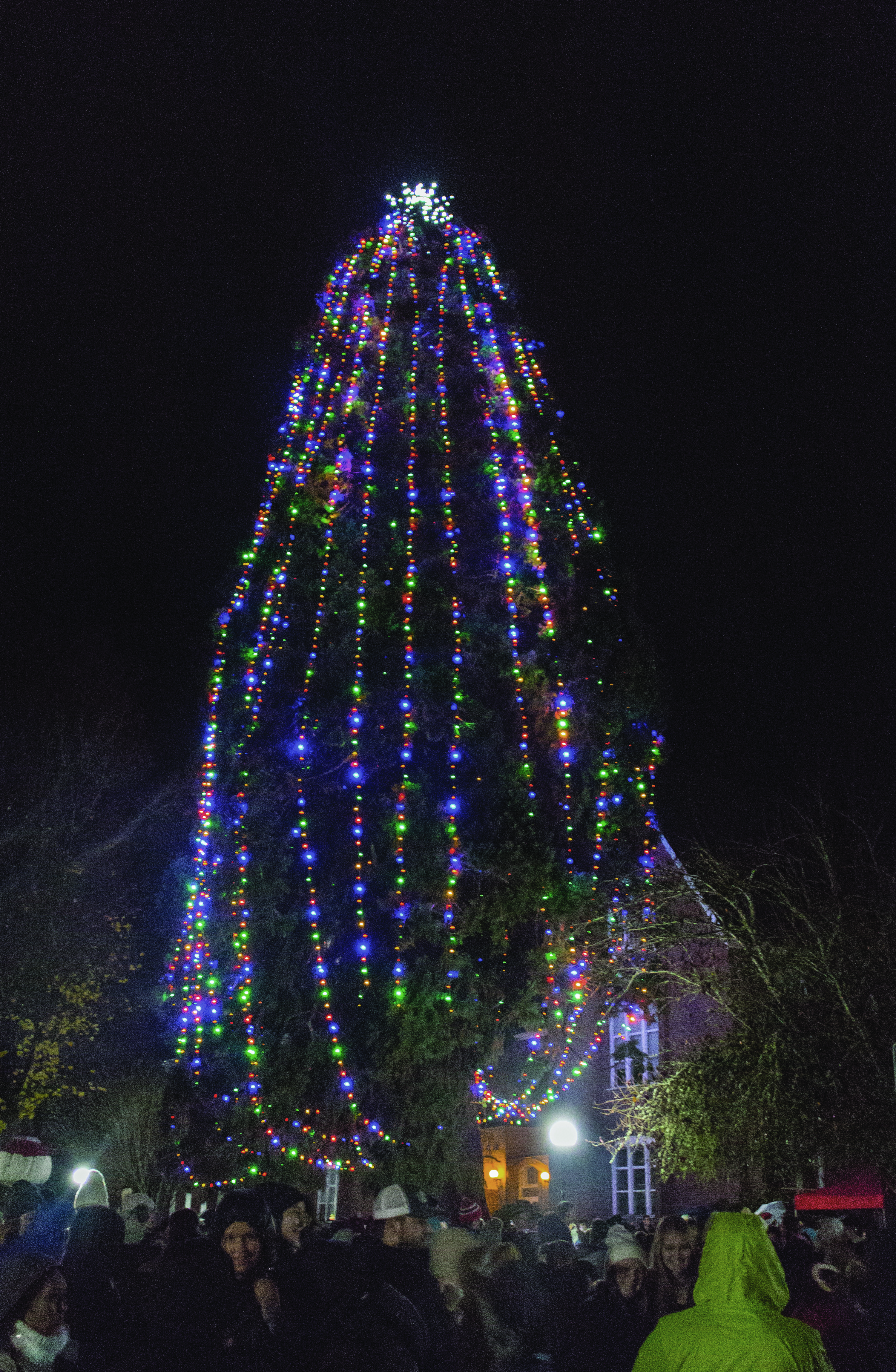 All is bright: Western hosts 51st Annual Holiday Tree Lighting