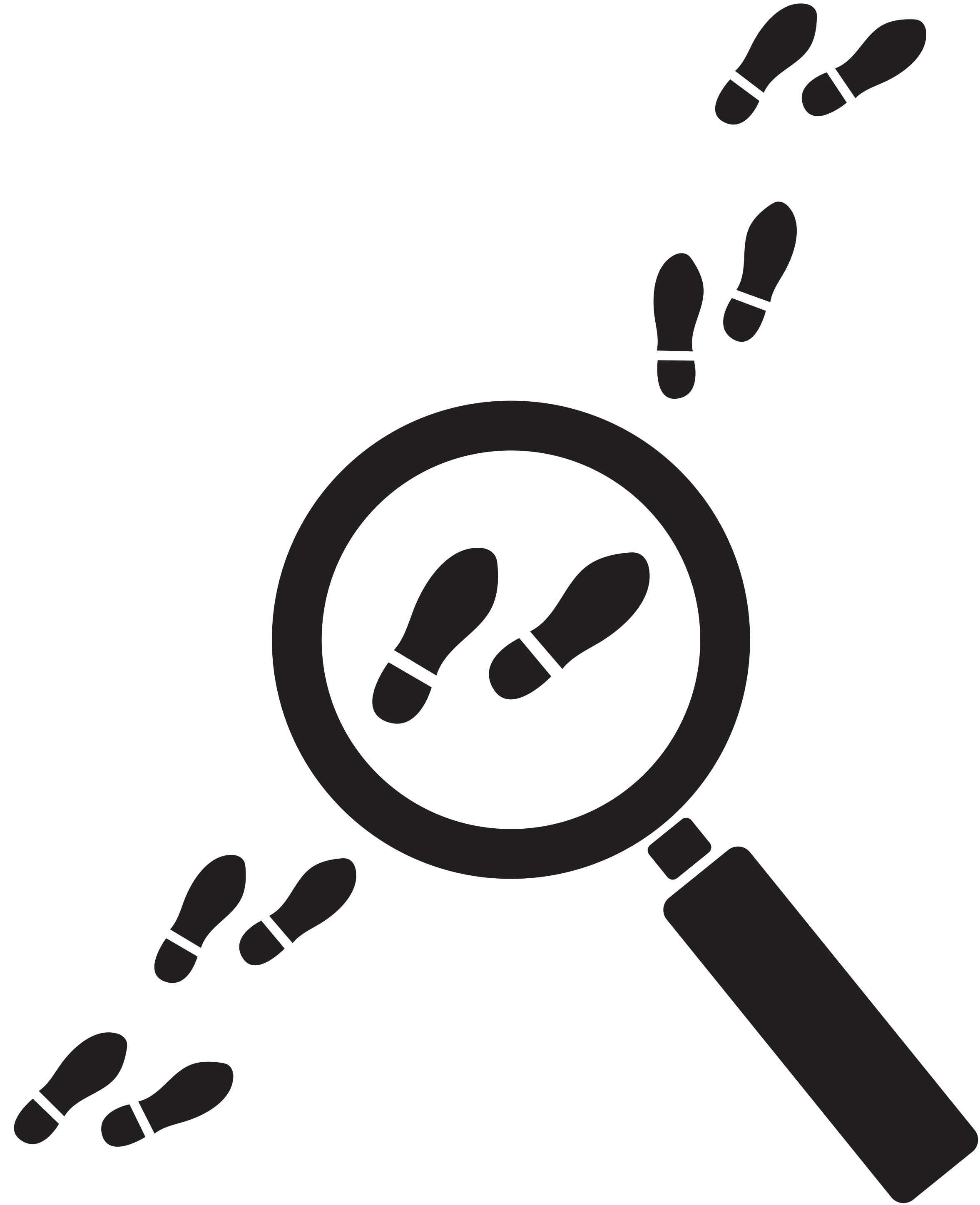 Spice up one's Schedule with these Course The Western Howl