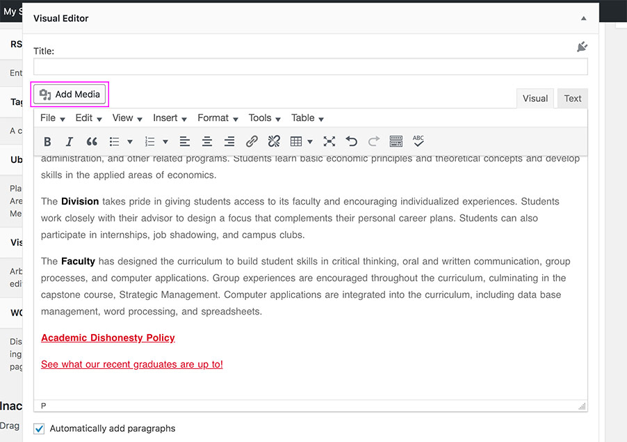 Screenshot of the Visual Editor tool in WordPress