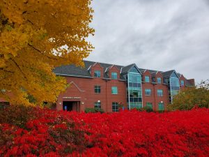 Hamersly Library amidst fall trees
