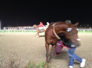 Not the best picture, but I found an amazingly big horse racing track in Buenos Aires a few miles away from where I live. 