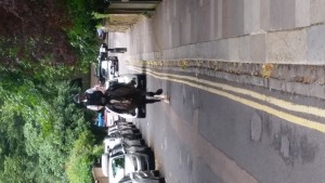 Police Horse- Hampstead